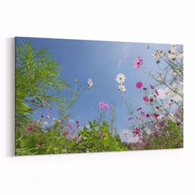 Olla 10729Y Ağaç Görseli Yatay 30x20 cm Kanvas Tablo