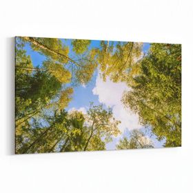 Olla 10736Y Ağaç Görseli Yatay 30x20 cm Kanvas Tablo
