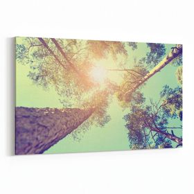 Olla 10744Y Ağaç Görseli Yatay 30x20 cm Kanvas Tablo