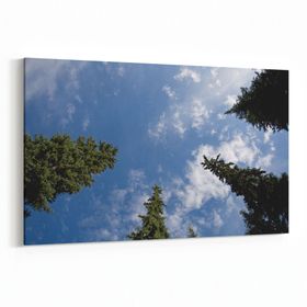 Olla 10747Y Ağaç Görseli Yatay 30x20 cm Kanvas Tablo