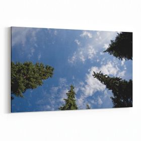 Olla 10747Y Ağaç Görseli Yatay 30x20 cm Kanvas Tablo