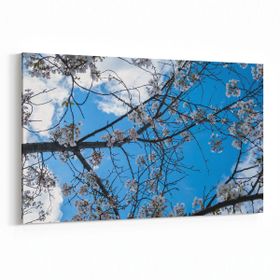 Olla 10764Y Ağaç Görseli Yatay 30x20 cm Kanvas Tablo