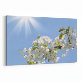 Olla 10765Y Ağaç Görseli Yatay 30x20 cm Kanvas Tablo
