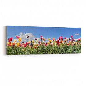 Olla 10770YI Ağaç Görseli Yatay İnce 90x30 cm Kanvas Tablo