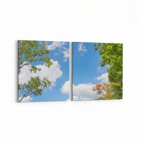 Olla 10772K2Y Ağaç Görseli Kare 2 Parça Yatay 65x30 cm Kanvas Tablo