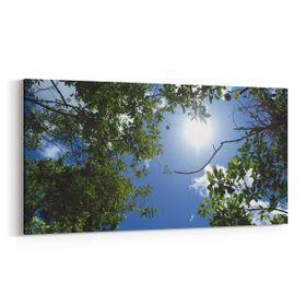 Olla 10795YD Ağaç Görseli Yatay Dar 60x30 cm Kanvas Tablo