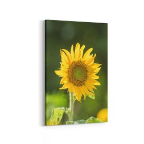 Olla 10796D Ağaç Görseli Dikey 20x30 cm Kanvas Tablo