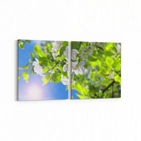 Olla 10798K2Y Ağaç Görseli Kare 2 Parça Yatay 65x30 cm Kanvas Tablo