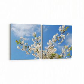 Olla 10799K2Y Ağaç Görseli Kare 2 Parça Yatay 65x30 cm Kanvas Tablo