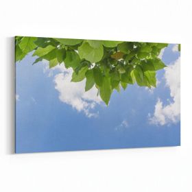 Olla 10800Y Ağaç Görseli Yatay 30x20 cm Kanvas Tablo