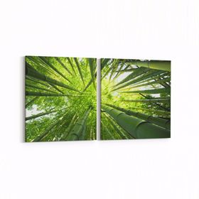 Olla 10805K2Y Ağaç Görseli Kare 2 Parça Yatay 65x30 cm Kanvas Tablo
