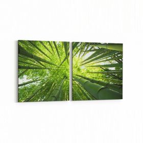 Olla 10805K2Y Ağaç Görseli Kare 2 Parça Yatay 65x30 cm Kanvas Tablo