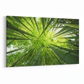 Olla 10805Y Ağaç Görseli Yatay 30x20 cm Kanvas Tablo