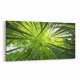 Olla 10805YD Ağaç Görseli Yatay Dar 60x30 cm Kanvas Tablo