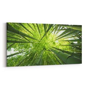 Olla 10805YD Ağaç Görseli Yatay Dar 60x30 cm Kanvas Tablo