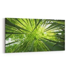 Olla 10805YD Ağaç Görseli Yatay Dar 60x30 cm Kanvas Tablo