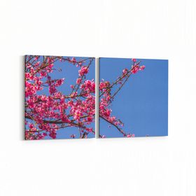 Olla 10814K2Y Ağaç Görseli Kare 2 Parça Yatay 65x30 cm Kanvas Tablo