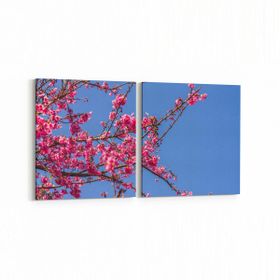 Olla 10814K2Y Ağaç Görseli Kare 2 Parça Yatay 65x30 cm Kanvas Tablo