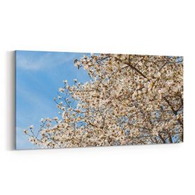 Olla 10822YD Ağaç Görseli Yatay Dar 60x30 cm Kanvas Tablo