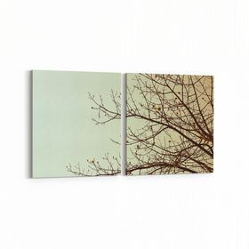 Olla 10826K2Y Ağaç Görseli Kare 2 Parça Yatay 65x30 cm Kanvas Tablo