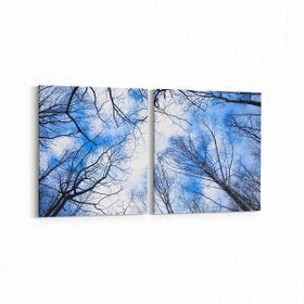 Olla 10827K2Y Ağaç Görseli Kare 2 Parça Yatay 65x30 cm Kanvas Tablo