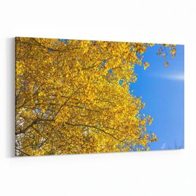 Olla 10838Y Ağaç Görseli Yatay 30x20 cm Kanvas Tablo