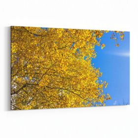 Olla 10838Y Ağaç Görseli Yatay 30x20 cm Kanvas Tablo