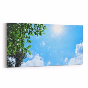 Olla 10843YD Ağaç Görseli Yatay Dar 60x30 cm Kanvas Tablo