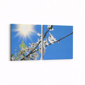 Olla 10845K2Y Ağaç Görseli Kare 2 Parça Yatay 65x30 cm Kanvas Tablo