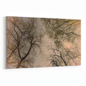 Olla 10850Y Ağaç Görseli Yatay 30x20 cm Kanvas Tablo