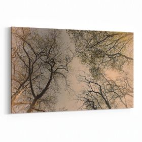 Olla 10850Y Ağaç Görseli Yatay 30x20 cm Kanvas Tablo