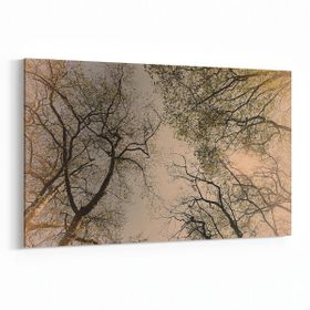 Olla 10850Y Ağaç Görseli Yatay 30x20 cm Kanvas Tablo