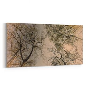 Olla 10850YD Ağaç Görseli Yatay Dar 60x30 cm Kanvas Tablo