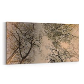 Olla 10850YD Ağaç Görseli Yatay Dar 60x30 cm Kanvas Tablo