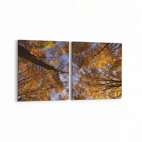 Olla 10856K2Y Ağaç Görseli Kare 2 Parça Yatay 65x30 cm Kanvas Tablo