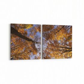 Olla 10856K2Y Ağaç Görseli Kare 2 Parça Yatay 65x30 cm Kanvas Tablo
