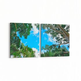 Olla 10857K2Y Ağaç Görseli Kare 2 Parça Yatay 65x30 cm Kanvas Tablo