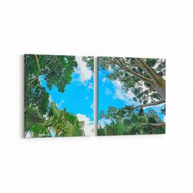 Olla 10857K2Y Ağaç Görseli Kare 2 Parça Yatay 65x30 cm Kanvas Tablo