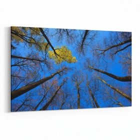Olla 10861Y Ağaç Görseli Yatay 30x20 cm Kanvas Tablo