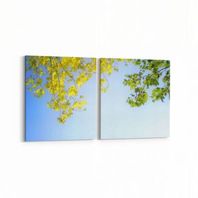 Olla 10864K2Y Ağaç Görseli Kare 2 Parça Yatay 65x30 cm Kanvas Tablo