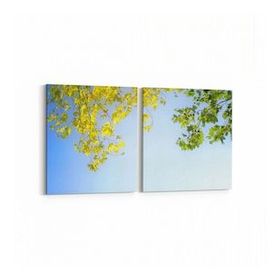 Olla 10864K2Y Ağaç Görseli Kare 2 Parça Yatay 65x30 cm Kanvas Tablo