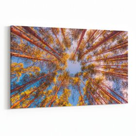 Olla 10869Y Ağaç Görseli Yatay 30x20 cm Kanvas Tablo