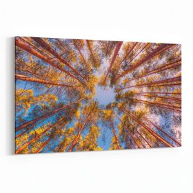 Olla 10869Y Ağaç Görseli Yatay 30x20 cm Kanvas Tablo