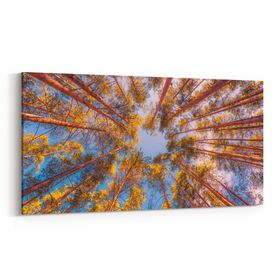 Olla 10869YD Ağaç Görseli Yatay Dar 60x30 cm Kanvas Tablo