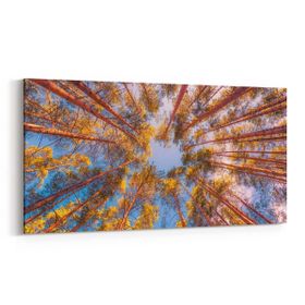 Olla 10869YD Ağaç Görseli Yatay Dar 60x30 cm Kanvas Tablo