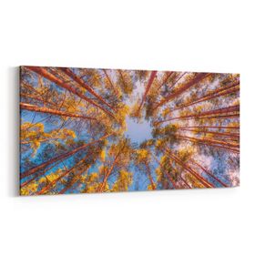 Olla 10869YD Ağaç Görseli Yatay Dar 60x30 cm Kanvas Tablo