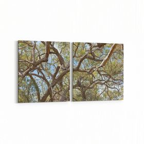 Olla 10873K2Y Ağaç Görseli Kare 2 Parça Yatay 65x30 cm Kanvas Tablo