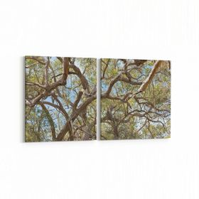 Olla 10873K2Y Ağaç Görseli Kare 2 Parça Yatay 65x30 cm Kanvas Tablo