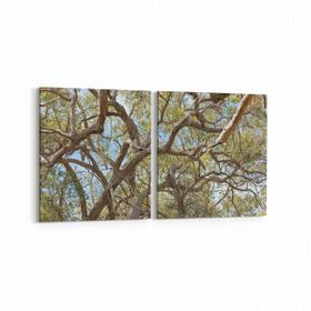 Olla 10873K2Y Ağaç Görseli Kare 2 Parça Yatay 65x30 cm Kanvas Tablo