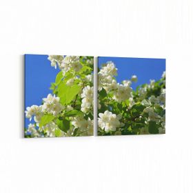 Olla 10900K2Y Ağaç Görseli Kare 2 Parça Yatay 65x30 cm Kanvas Tablo